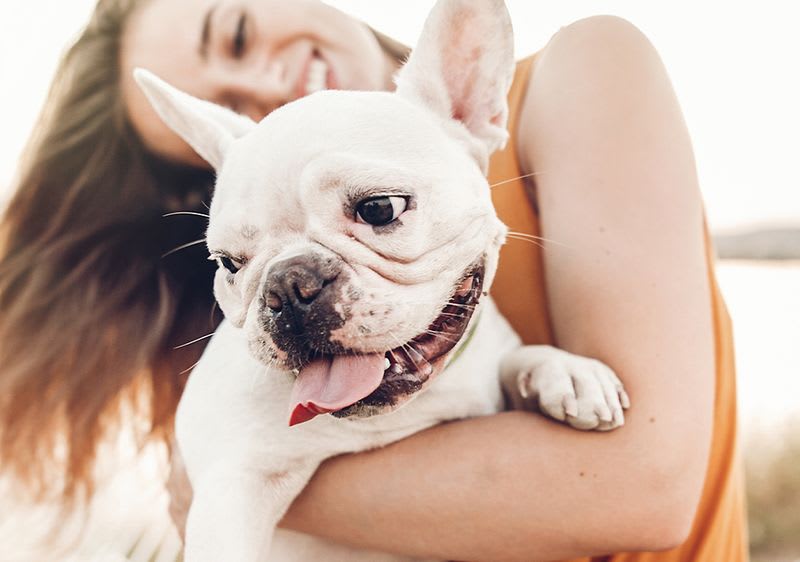 kokosol fur hund und seine gesundheit