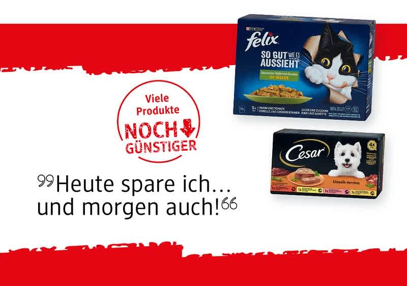 dm drogerie markt Online Shop | Dauerhaft günstig einkaufen