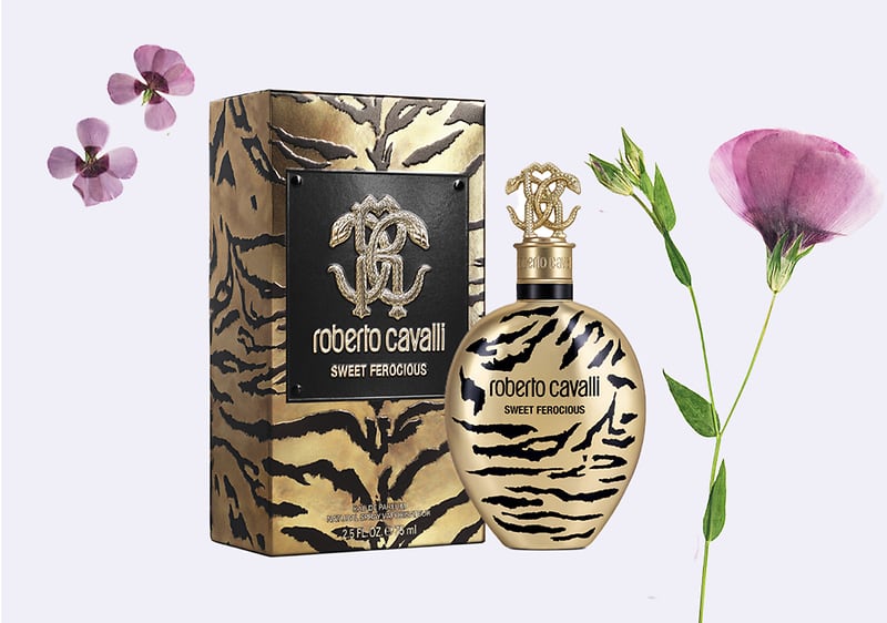 Roberto cavalli prezzi 2025