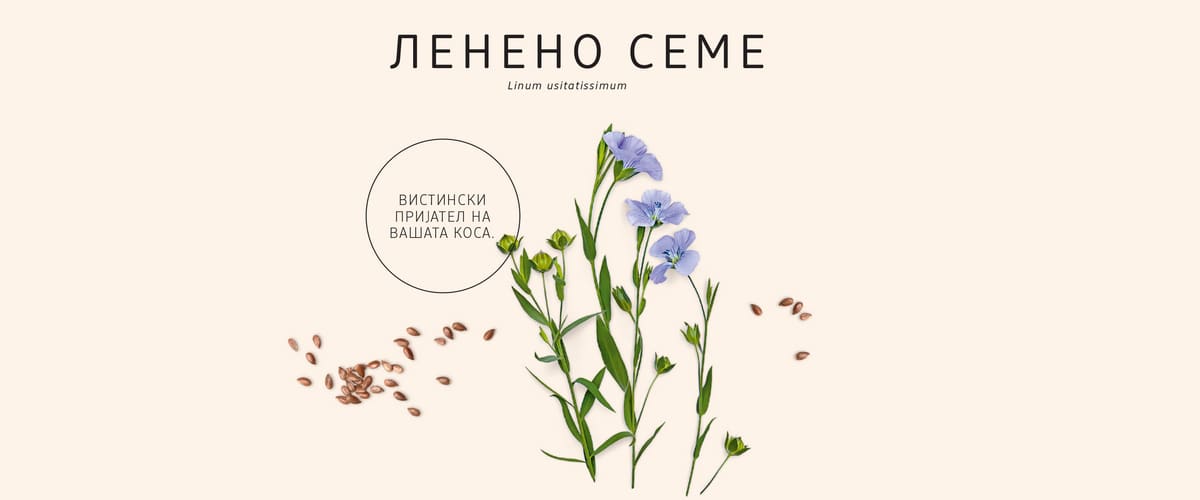 Растенија, билки, цветови. Тајната моќ на билките. | dm.mk