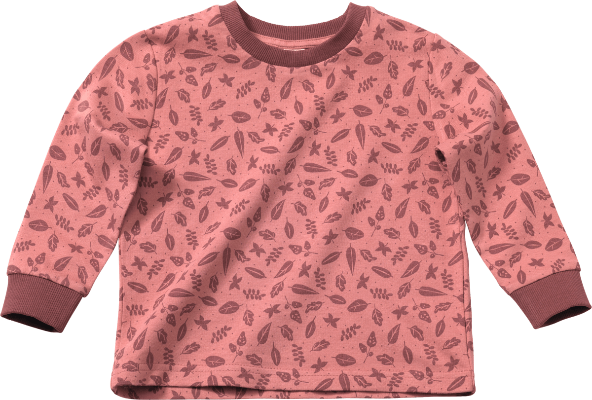Tandheelkundig Jachtluipaard arm ALANA Kinder Pullover, Gr. 110, aus Bio-Baumwolle, rosa, 1 St dauerhaft  günstig online kaufen | dm.de
