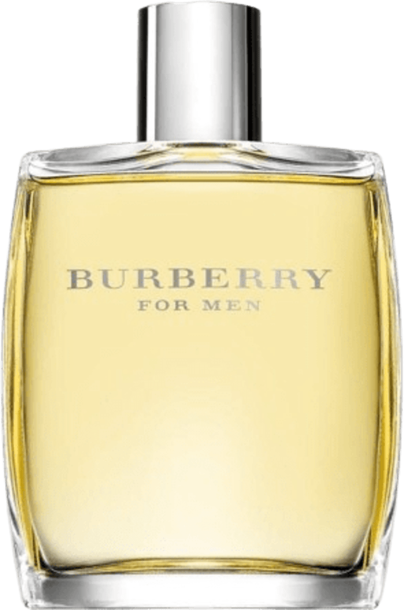 Burberry Men edt, 100 ml kupujte online po uvijek povoljnim cijenama