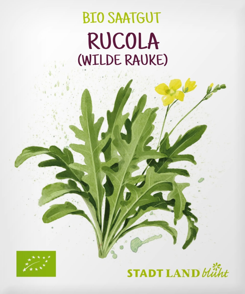 Stadt Land blüht Saatgut Rucola Samen, wilde Rauke, 1 St dauerhaft