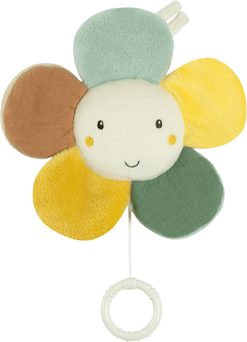 Aufblasen Richtig Dankbar spieluhr blume Schreibkraft Herumlaufen Zuletzt