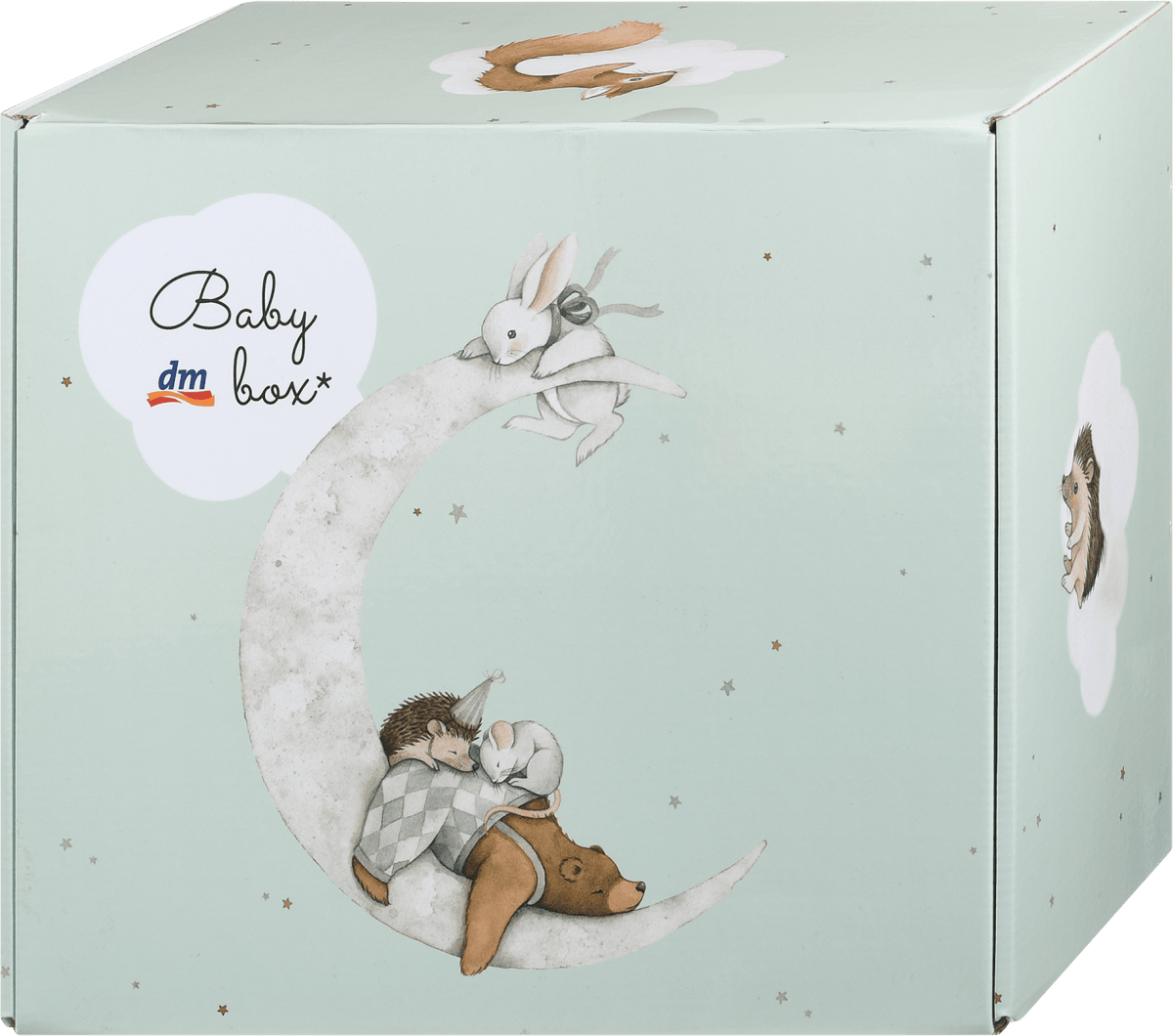 dm Baby Box paket dobrodošlice za bodoče in novopečene starše, 1 kos