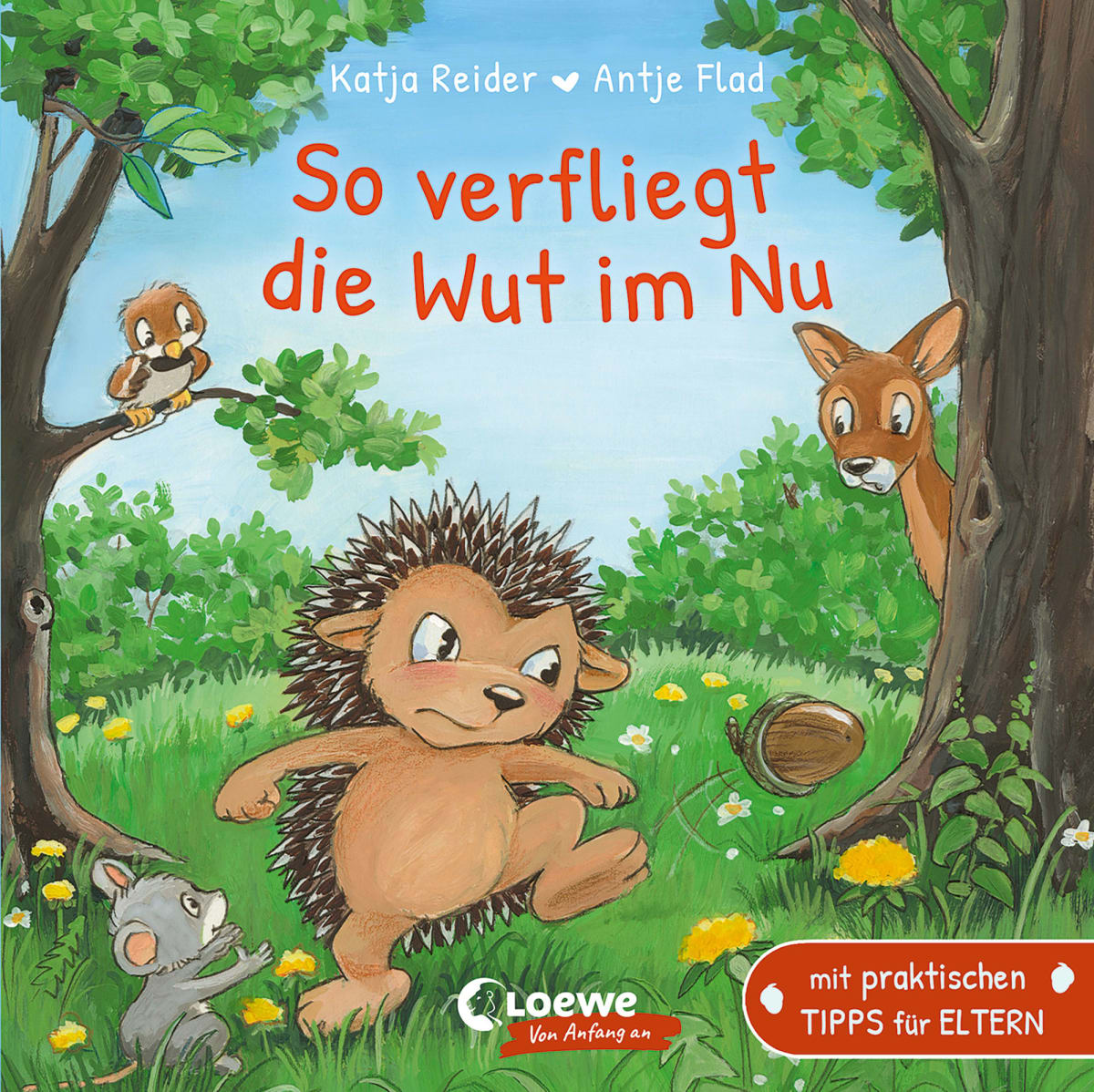 Loewe Verlag So verfliegt die Wut im Nu, 1 St dauerhaft günstig online