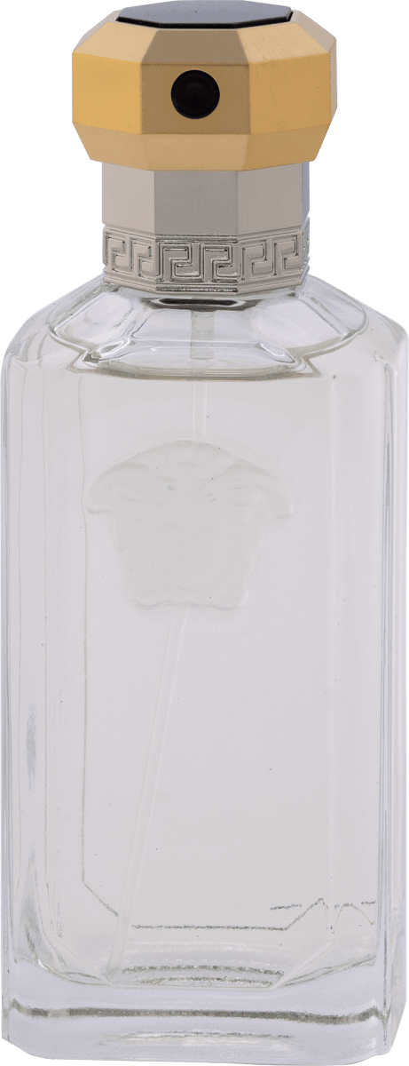 Versace dreamer cena best sale