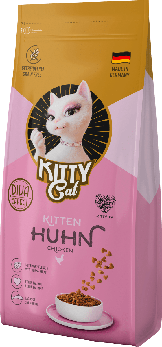 Special kitty kitten online