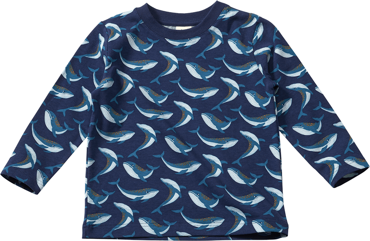 ALANA Langarmshirt Pro Climate mit Dino-Muster, blau, Gr. 104, 1  