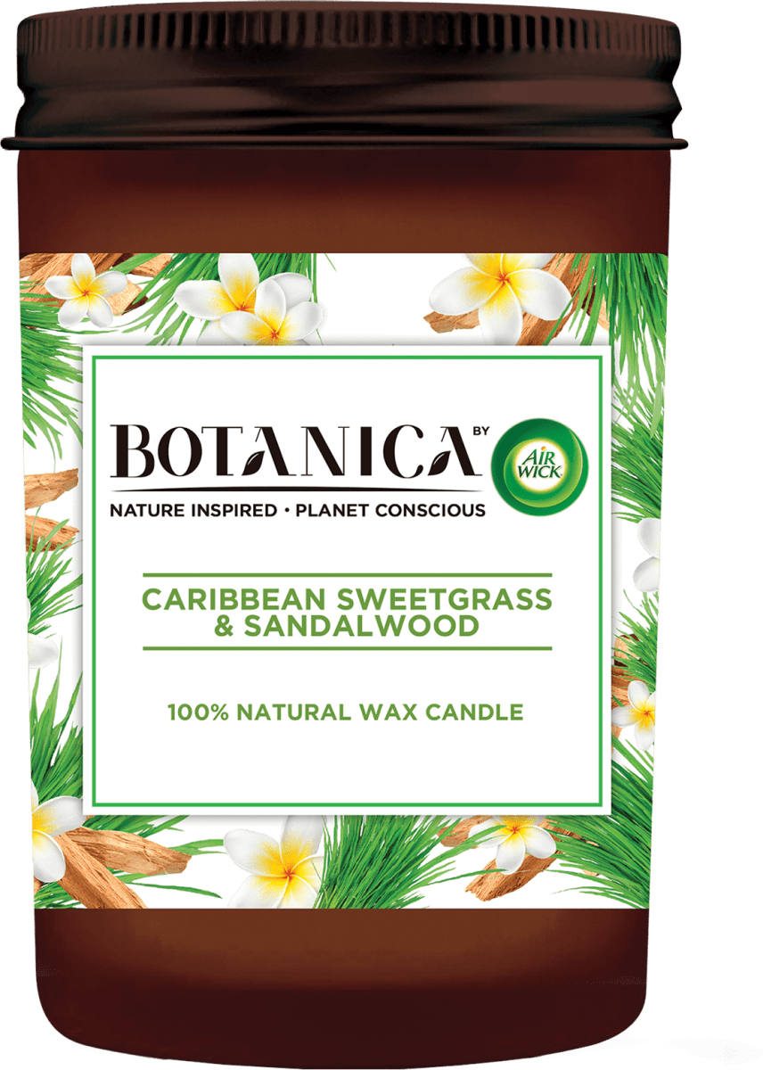 BOTANICA BY AIR WICK Duftkerze im Glas Karibisches Süßgras & Sandelholz 205 g, 1 St dauerhaft günstig online kaufen