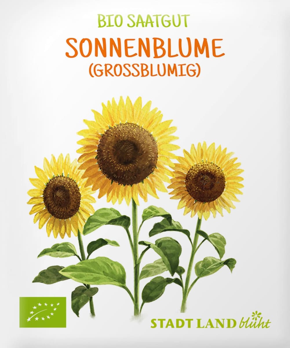 Stadt Land blüht Saaten, Sonnenblume (grossblumig), 1 St dauerhaft
