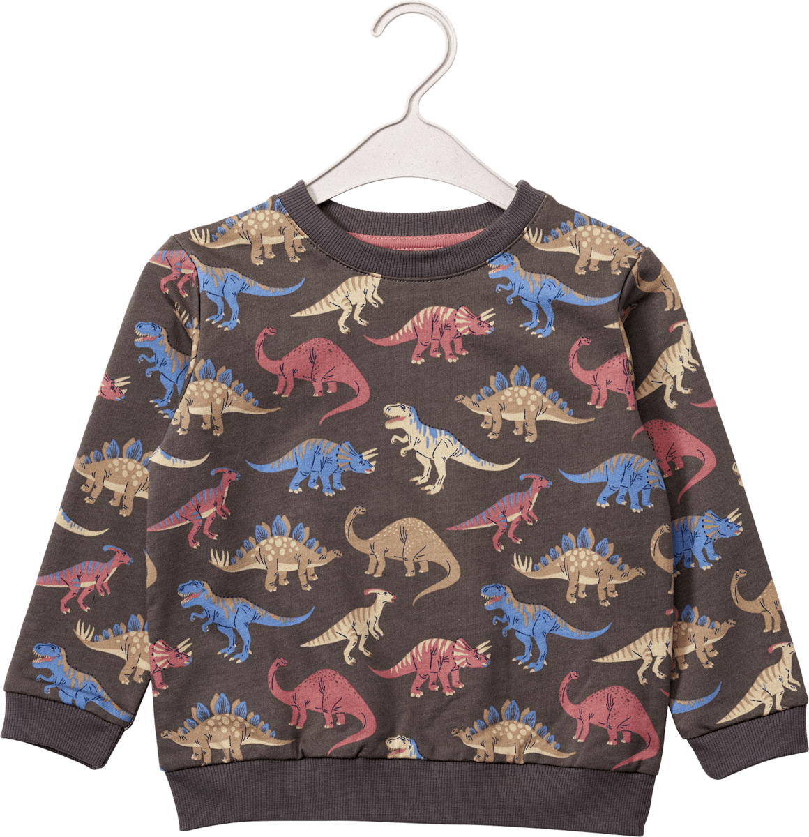All saints dino sweatshirt deals