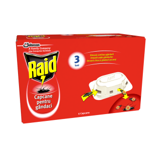 Купете Raid онлайн ️ | dm България