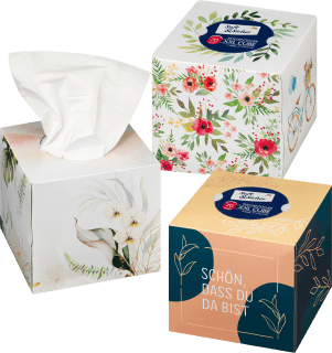 GUT&GÜNSTIG Taschentuchbox 100 Blatt, Papiertaschentücher, Hygiene, Drogerie, Alle Produkte, Online bestellen