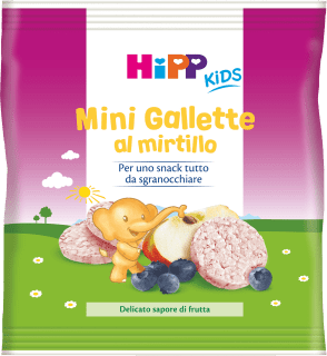 HiPP - Frutta Frullata con Yogurt Bio, Cremosa Purea per Bambini al Gusto  Mela e Frutti Rossi, Senza Zuccheri Aggiunti, 6 Confezioni da 90 gr :  : Alimentari e cura della casa