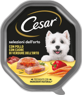 Cesar Cibo umido per cani con tacchino e verdure Selezioni dell'Orto, 150 g  Acquisti online sempre convenienti