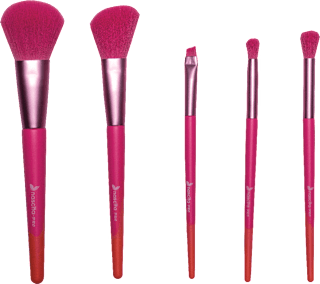 Set četkica za šminkanje Pro – 140, 5 kom.