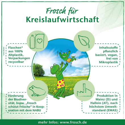Frosch Fleckenentferner & Vorwasch-Spray wie Gallseife, 500 ml