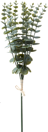 Dekorieren & Einrichten Eukalypthuszweig, grün, 1 St