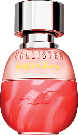 Hollister online shop de sales