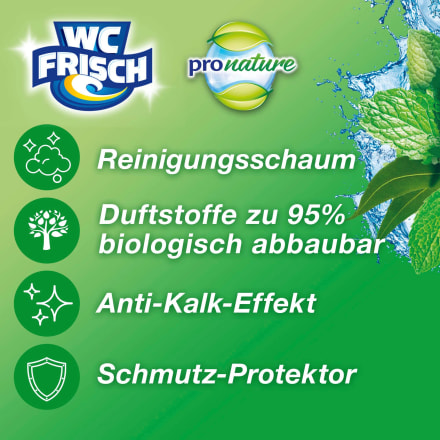 WC-Stein kaufen dauerhaft Nature Pro Aktiv günstig online & Kraft Eukalyptus, St 1 WC-Frisch Minze