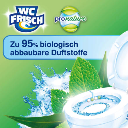 Aktiv günstig Nature dauerhaft Kraft WC-Stein Minze online St WC-Frisch Pro & Eukalyptus, kaufen 1