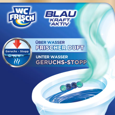 WC-Frisch WC-Stein Blau Kraft-Aktiv Ozeanfrische, 1 St dauerhaft