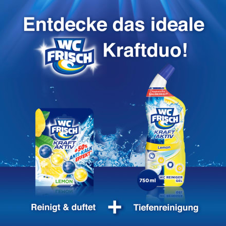 WC-Frisch WC-Stein Blau Kraft-Aktiv Ozeanfrische, 1 St dauerhaft günstig  online kaufen