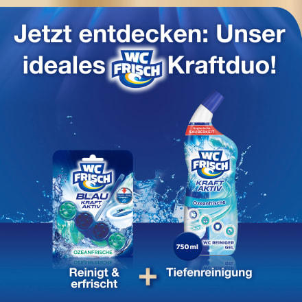 WC-Frisch WC-Stein Blau Kraft Aktiv Ozeanfrische, 2 St dauerhaft günstig  online kaufen
