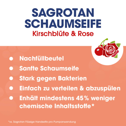 Sagrotan Schaumhandseife Kirschblüte & Rose Nachfüllpack, 250 ml dauerhaft  günstig online kaufen
