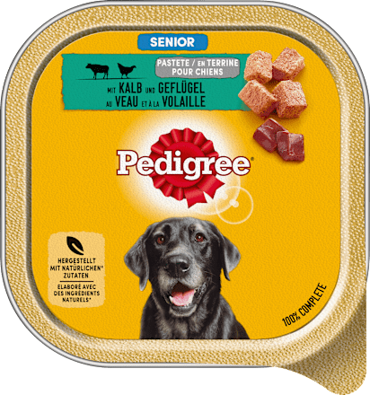 Pedigree pal senior cheap