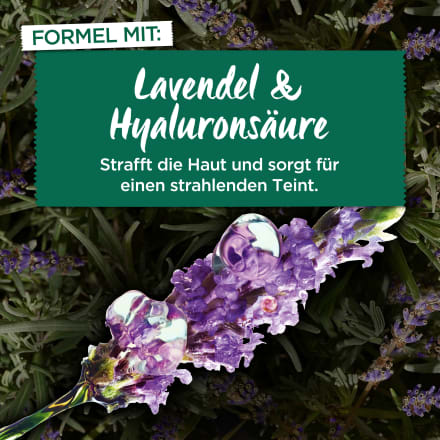 Anti-Falten 50 ml Feuchtigkeitspflege BIO Bio-Lavendel, GARNIER