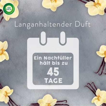 Duftstecker Nachfüller, Vanilleblüte & Honig von Air Wick
