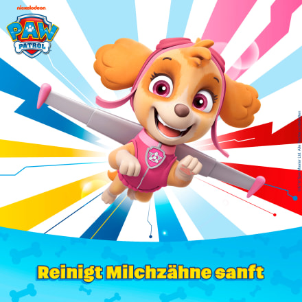 Dr paw patrol store