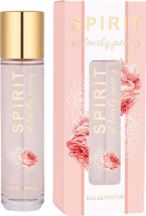 Spirit eau de toilette sale