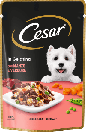 Cesar Cibo umido in gelatina per cani con manzo e verdure, 100 g