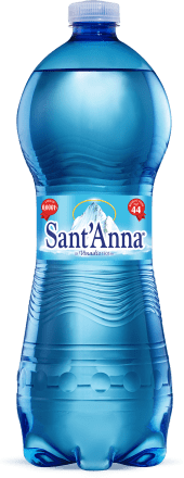 Sant'Anna Acqua frizzante, 1 l Acquisti online sempre convenienti