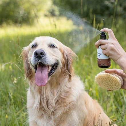 Greendoor Hund & Katze Fellpflege Spray, 250 ml dauerhaft günstig