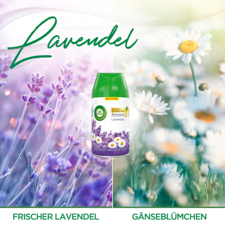 AirWick Freshmatic Max Lavendel Nachfüller Raumduft – Siba Store