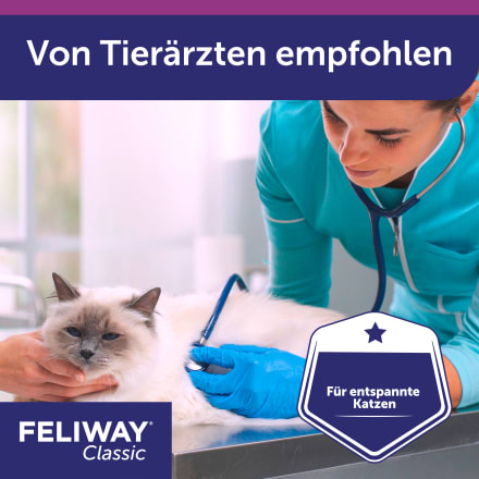 Feliway dm shop