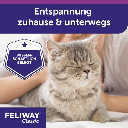 Feliway Entspannungsspray Classic