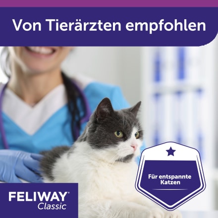 Feliway dm store
