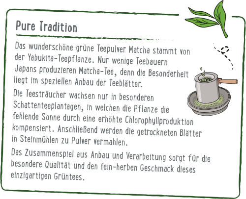 dmBio Japanischer Grüner Tee, Matcha Sticks (10 x 2g), 20 g dauerhaft ...