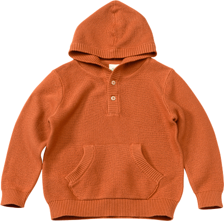 ALANA Pullover mit Kapuze braun Gr. 104 1 St dauerhaft gunstig online kaufen dm