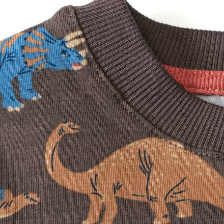 ALANA Langarmshirt Pro Climate mit Dino-Muster, grau, Gr. 92, 1 St 