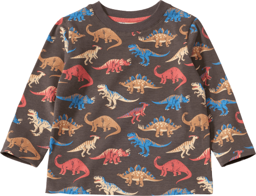ALANA Langarmshirt Pro Climate mit Dino-Muster, grau, Gr. 92, 1 St 