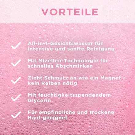 Garnier All-in-1 Mizellenwasser Set – 2x400 Ml + 1x100 Ml, Abschminkend & Befeuchtend, Ohne Ausspülen