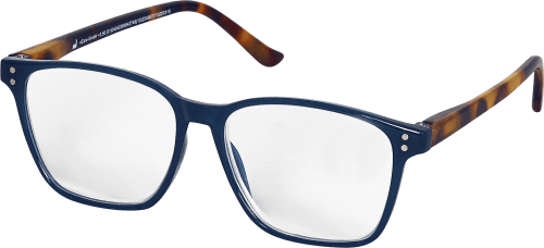 Dm lesebrille 0 5