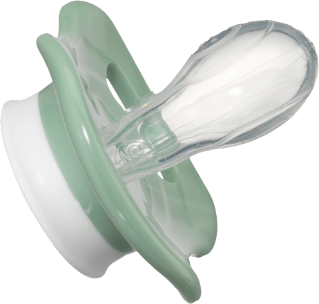 LOVI Dynamischer Schnuller 6-18 Monate, BPA-frei, Buddy Bear Kollektion – 2 Stück Mit Aufbewahrungsdose