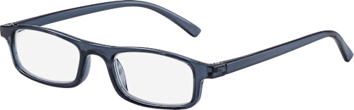 VISIOMAX Lesebrille grau-blau Dioptrie +3,00, 1 St dauerhaft günstig online  kaufen | dm.de